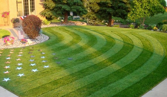 No Grass – Just Plain Old Dirt – Call Spokane Pro Care for a Beautiful Lawn